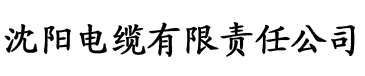 东方心经免费资料大全管家婆大全电缆厂logo